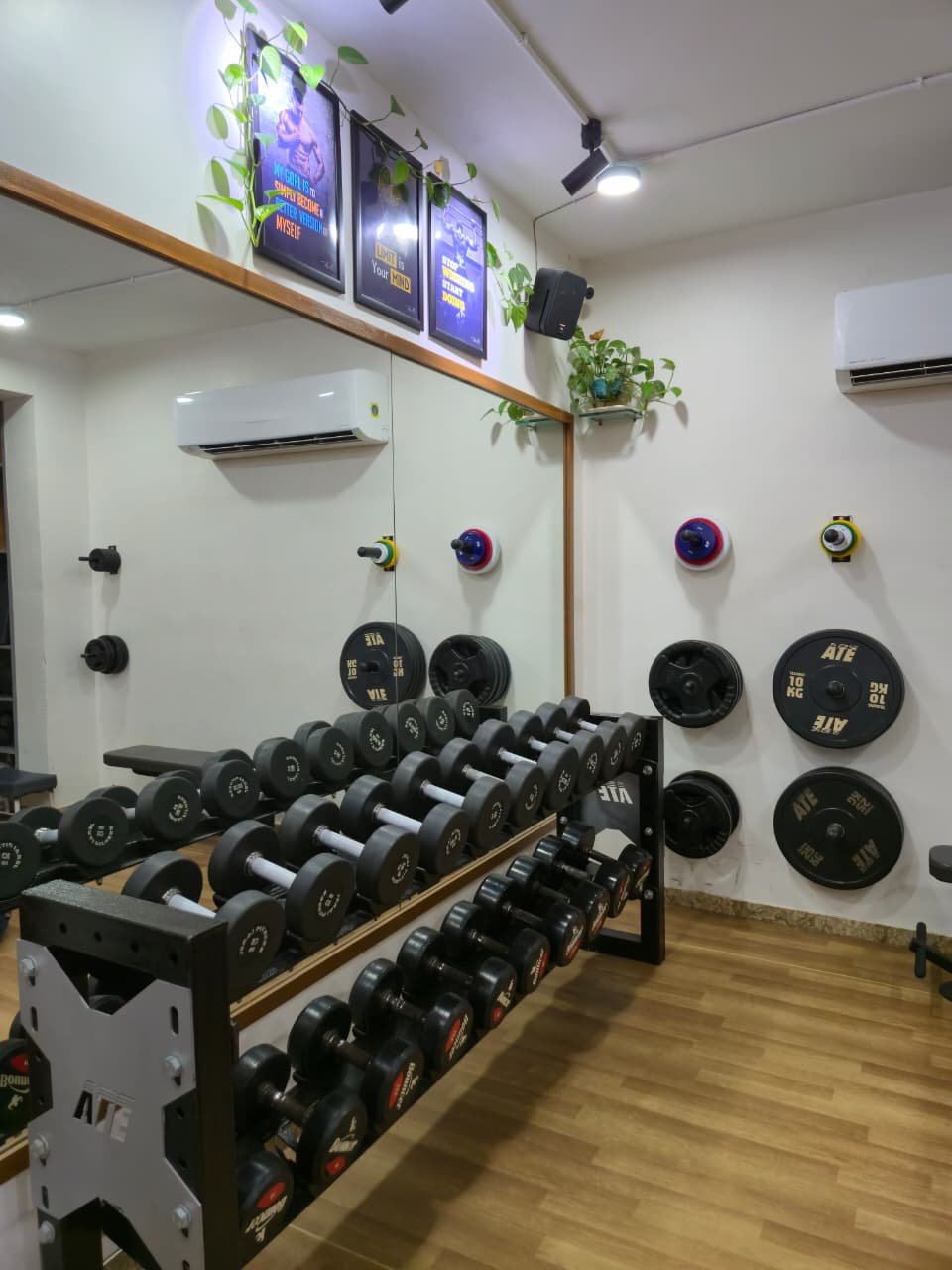 Free Weights