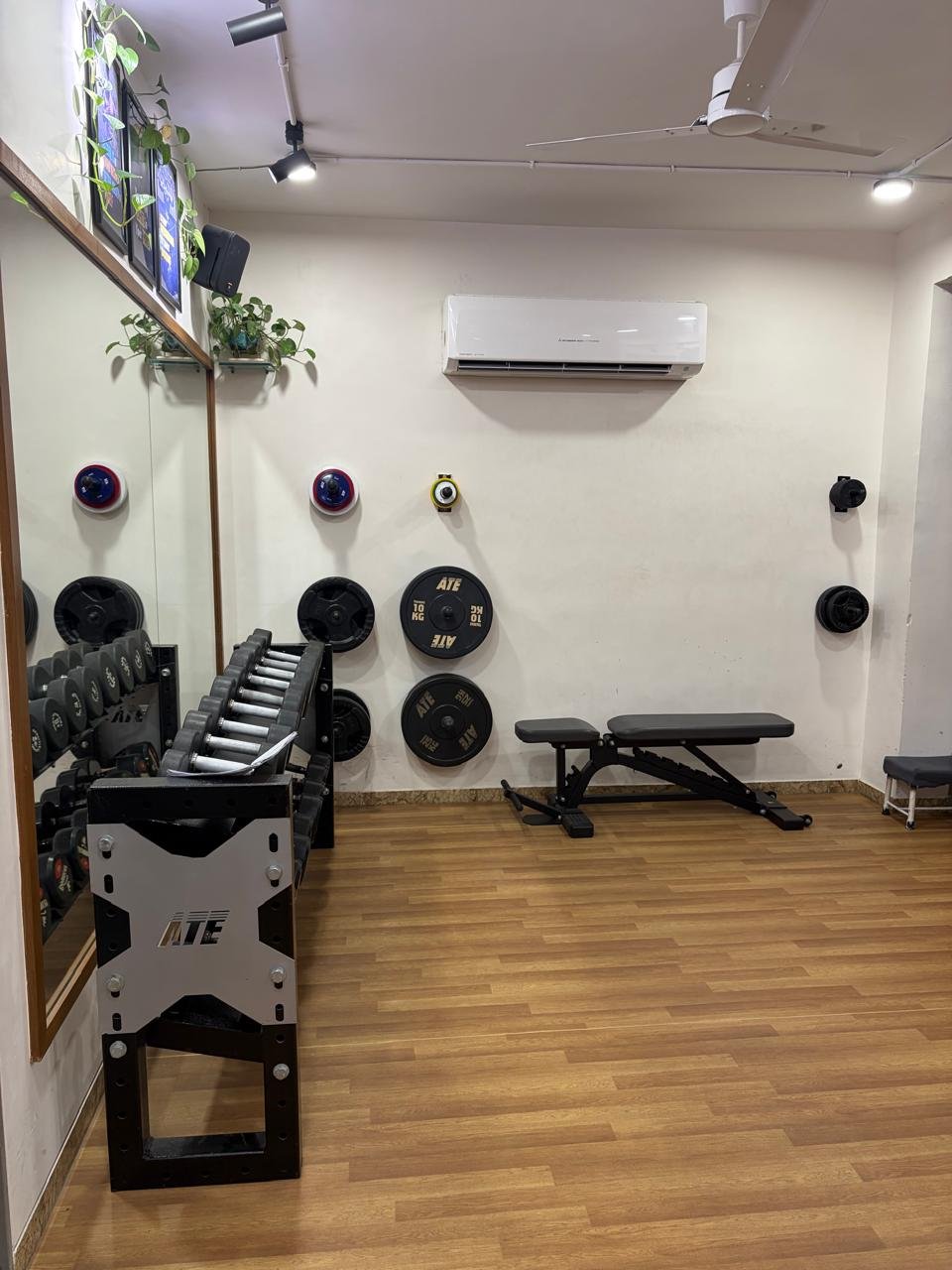 Free Weights Area